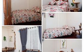 Green Heart Homestay