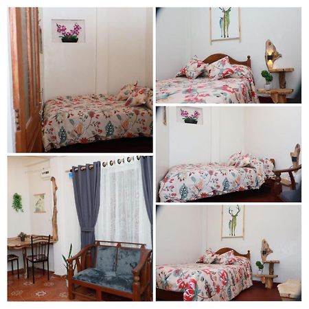 Green Heart Homestay Nuwara Eliya Exterior photo